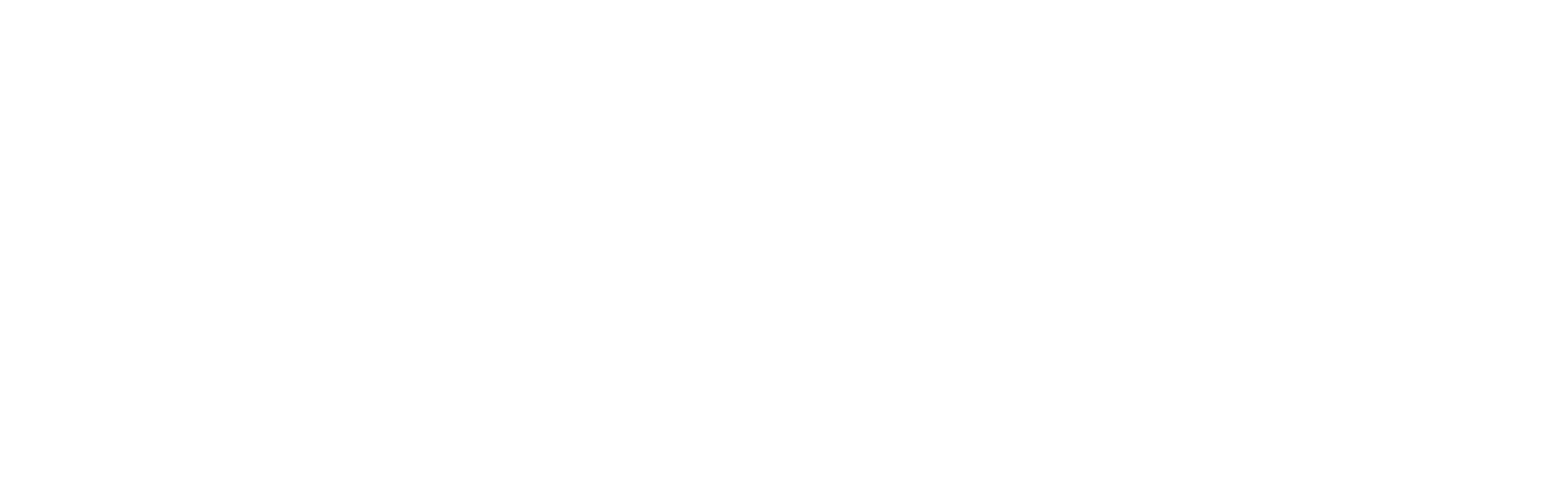 Volantio